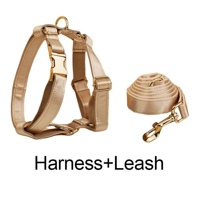 Harness leash