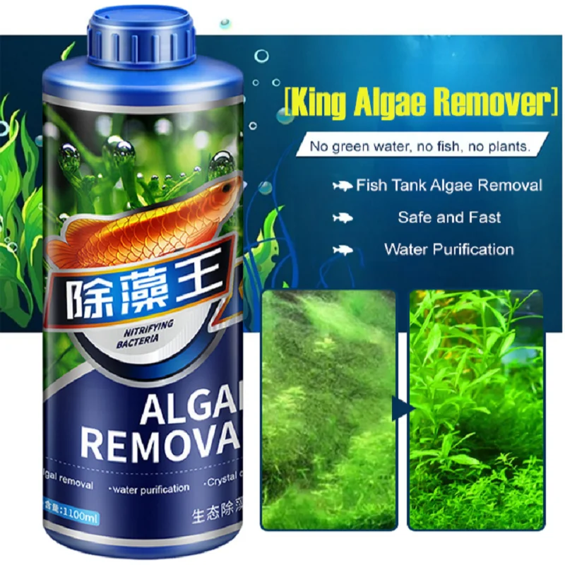 Algaecide for Fish Tank Remove Black Hair and Brown Algae Green Algae Aquatic Plants and Fish Tanks Crazy Waterweed Algaecide