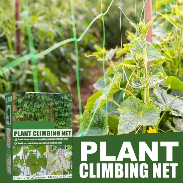 1 Beállított Növényi Mászó Háló Könny-Ellenálló, Nem Zavaró, Jó Nyújtó Erő Csomók Tervezés Növény Termesztési Támogatás Nettó Kerti Ellátás