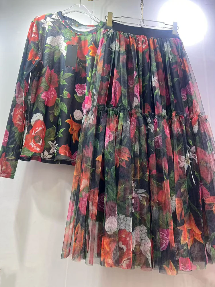 Retro mesh elastic long-sleeved top spring and summer new elastic waist big swing skirt fashion print women's two-piece dress 3