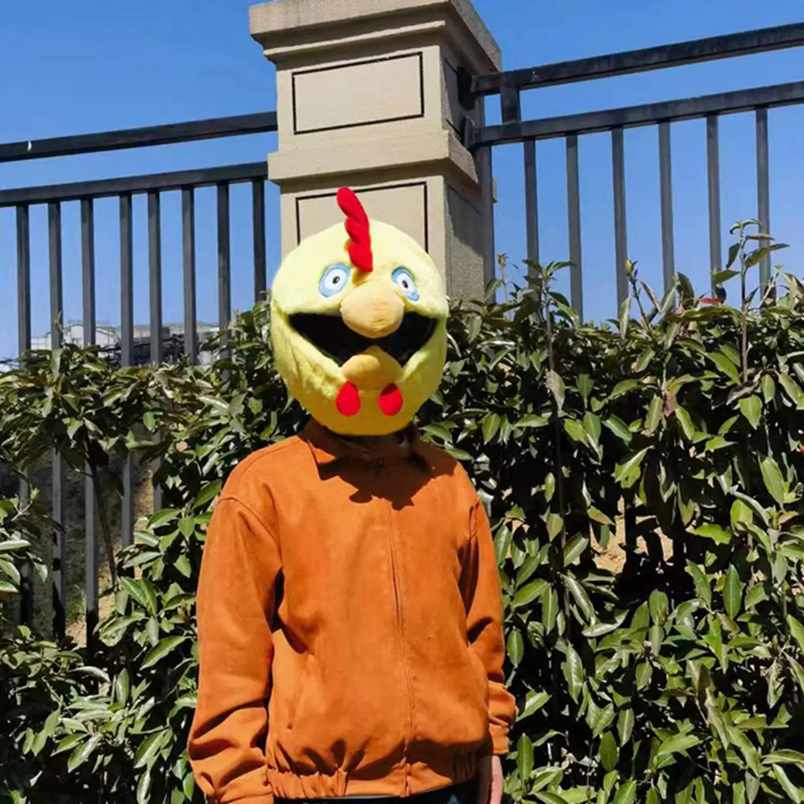 

Motorcycle Helmet Covers Cartoon Chicken Motorbike Helmet Protective Cover