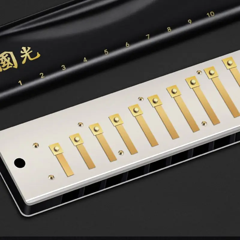 10 Holes Blues Harmonica ,Professional Harmonica Organ Musical Instruments ,Harps ,Professional Key Of C For Performanc