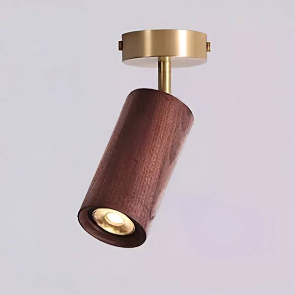 Walnut Wood Brass Spotlight 2