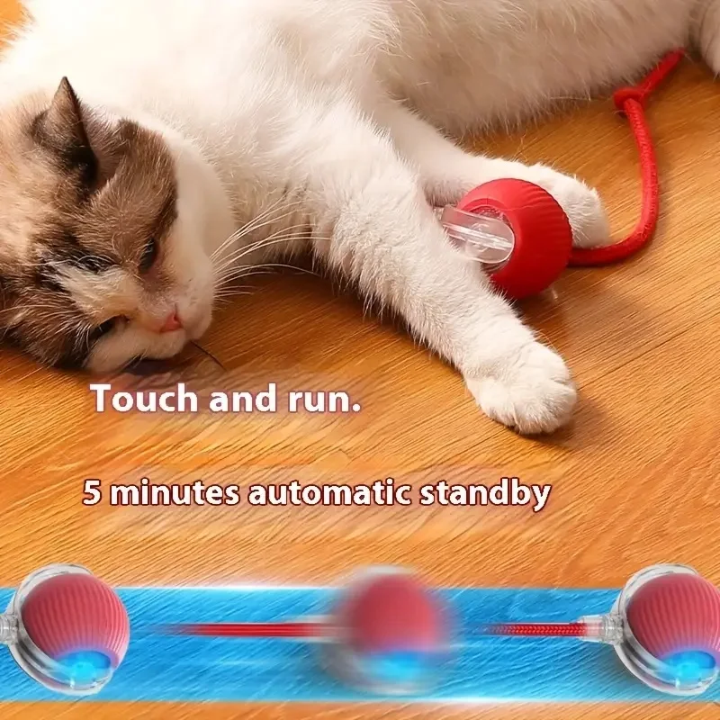 Long tail toy ball USB rechargeable cat training toy training cat observation and capture abilities suitable for all cats Pet Toys Cat Toy