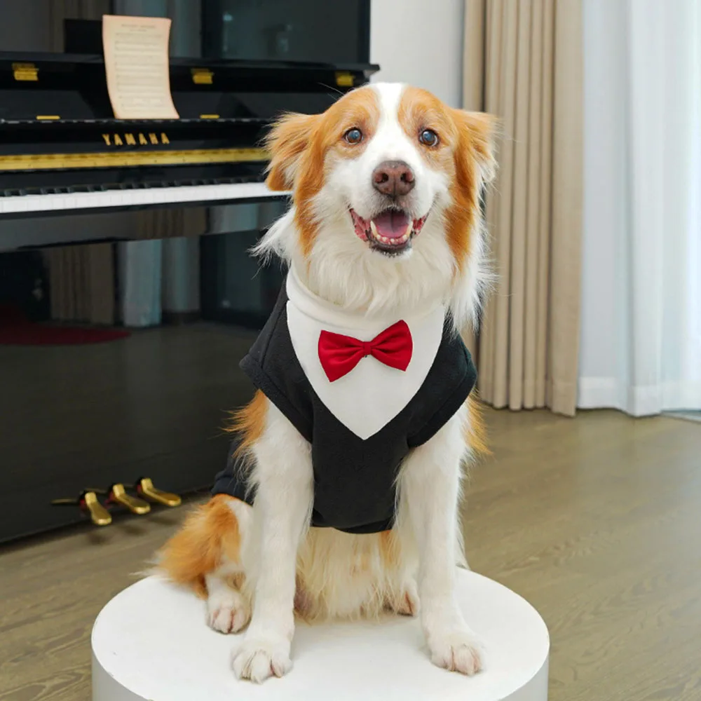Large Dog Tuxedo Sweater 3