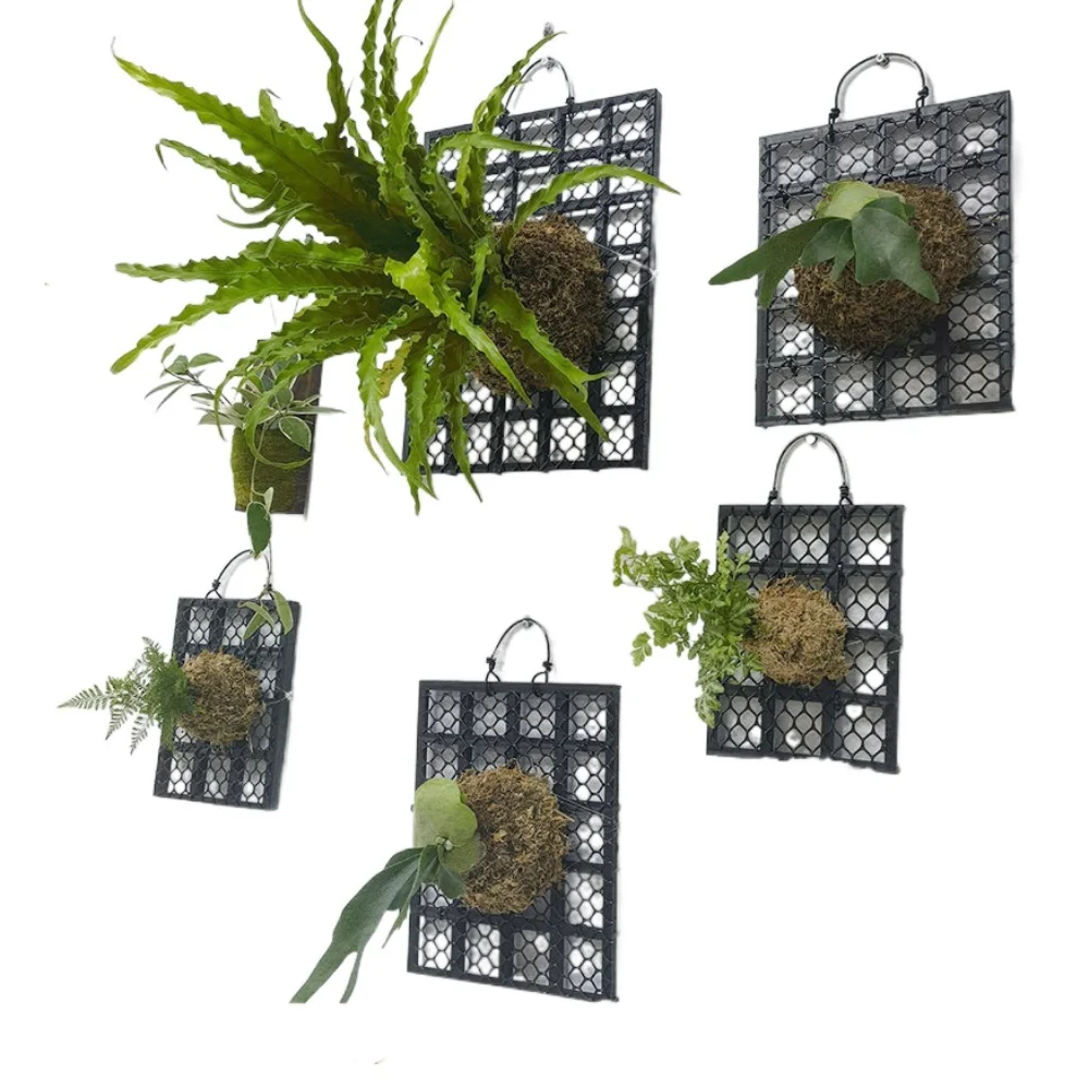 Black Thickened Staghorn Fern Board Orchid Fern Dendrobium Planting Board Plant Bed Board Plastic Gardening Hanging Board