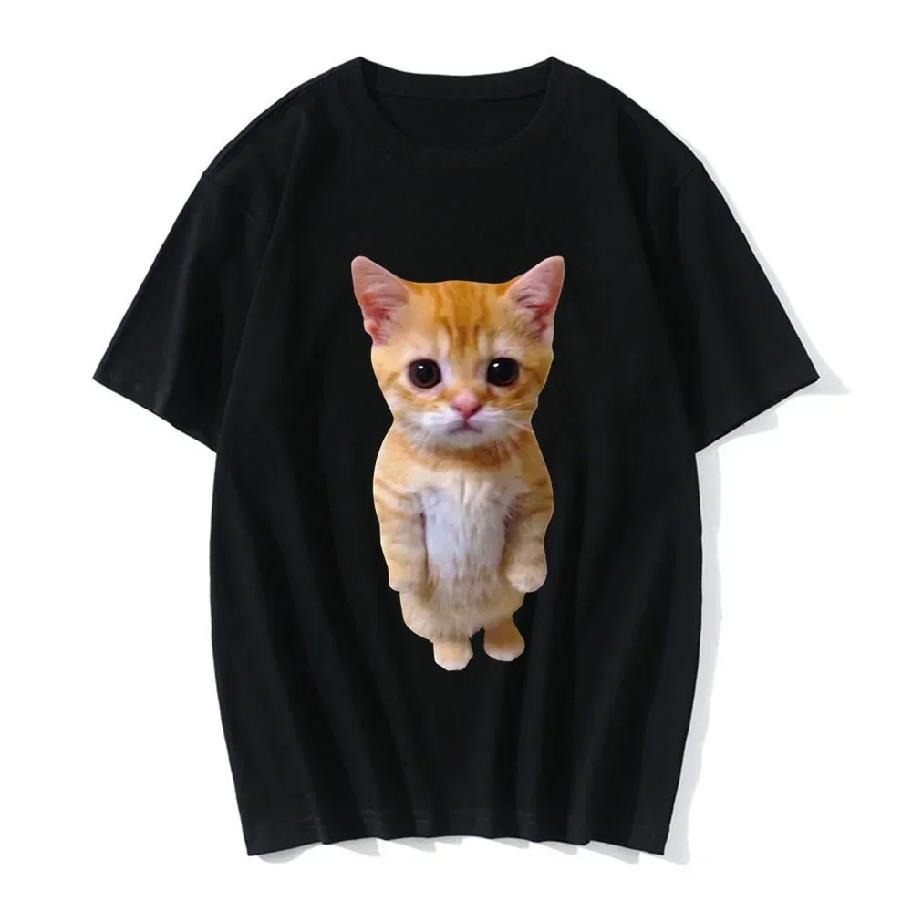 

Camiseta con estampado 3D de gato divertido para hombre y mujer, ropa informal de moda, Harajuku, Verano