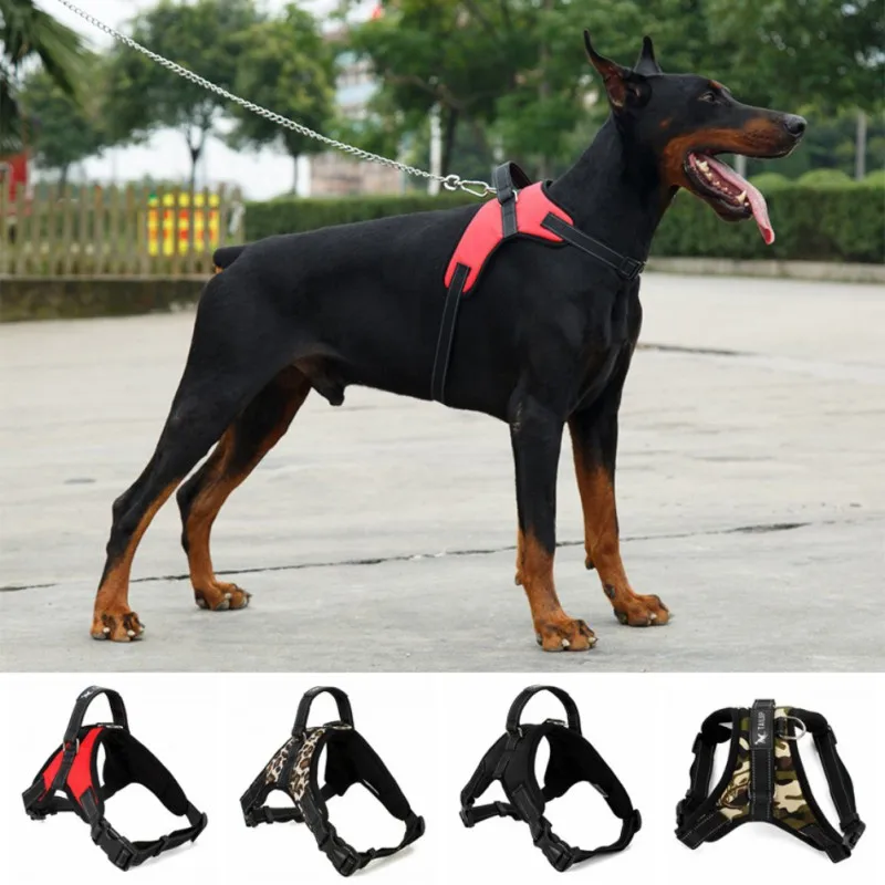 

Multi-Size Adjustable Dog Leash Vest Outdoor Pet Walk Control Tool Durable Dog Training Supplies Simple French Bulldog Harness