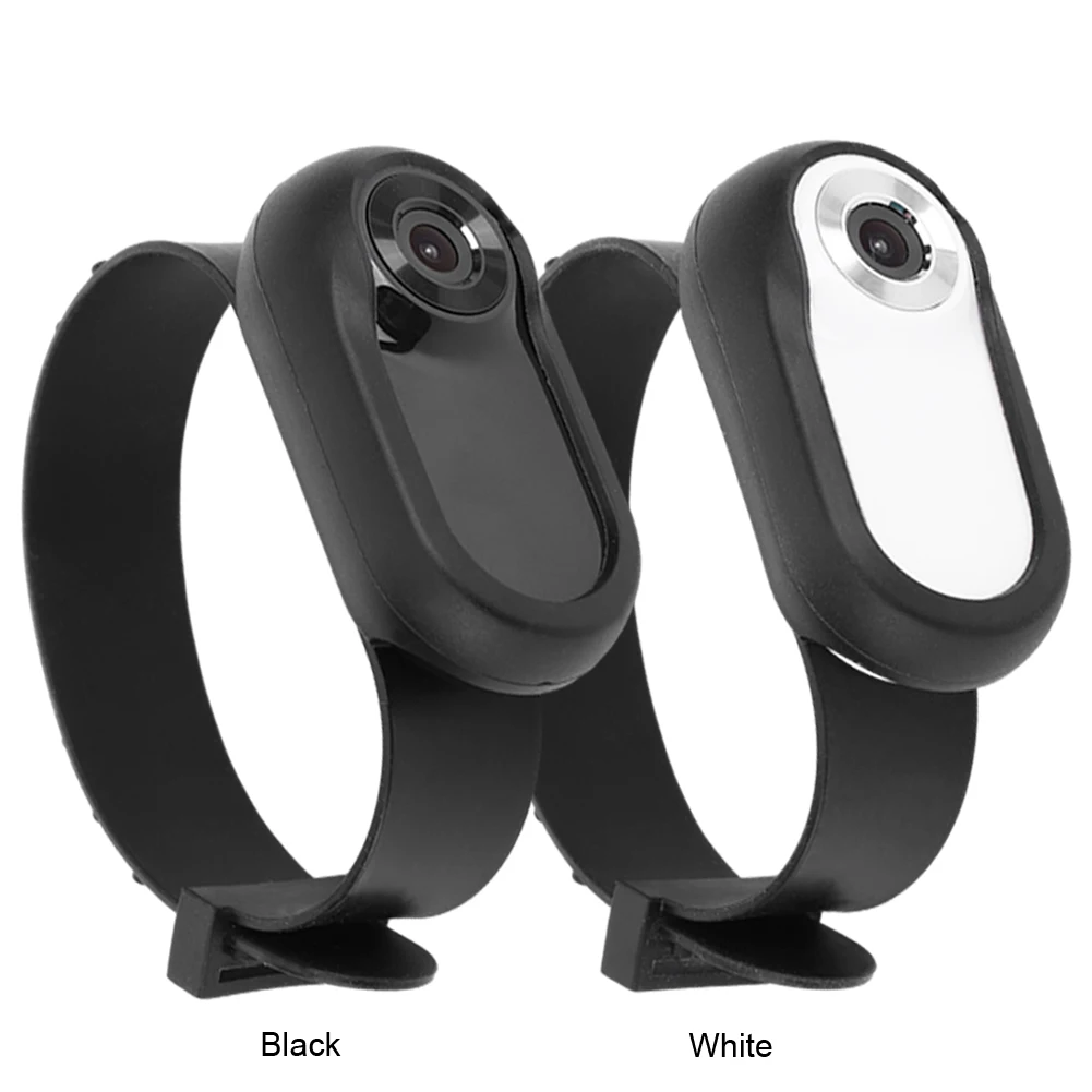 pet collar camera
