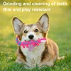 Dog Chew Toy Latex Lizard Squeaky Pet Toys For Small Medium Dogs Interactive Funny Dog Sounding Training Toy Pet Supplies 4
