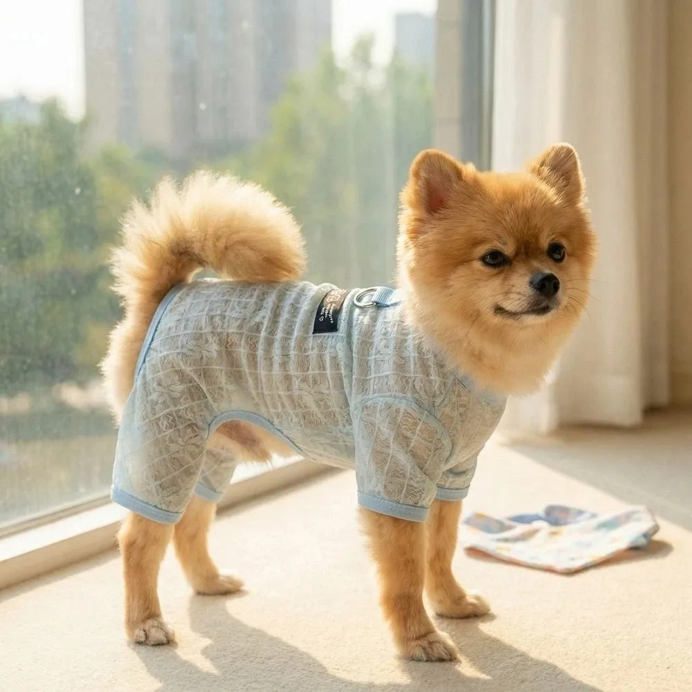 통기성 메쉬 개 자외선 차단 의류 얇은 트랙션 기능이 있는 개 쿨링 점프수트 꽃무늬 개 자외선 차단 의상 데일리 웨어