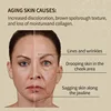 Premium Anti-Wrinkle Hyaluronic Acid Serum - Reduces Fine Lines Deep Hydration Firms Skin Fast Absorption Non-Greasy 3