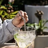 Boundless Voyage Titanium Straw with Cleaning Brush Straight Curved Reusable Drinking Straw Water Flatware for Coffee Tea Yogurt 5
