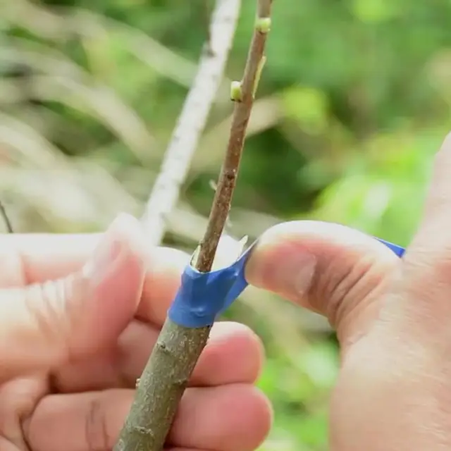 Oltószerszámok Összecsukható Oltási Metszéskés Professzionális Acél Fából Készült Oltás Oltó Vágó Kés Kert Ha O9F3 - Image 6