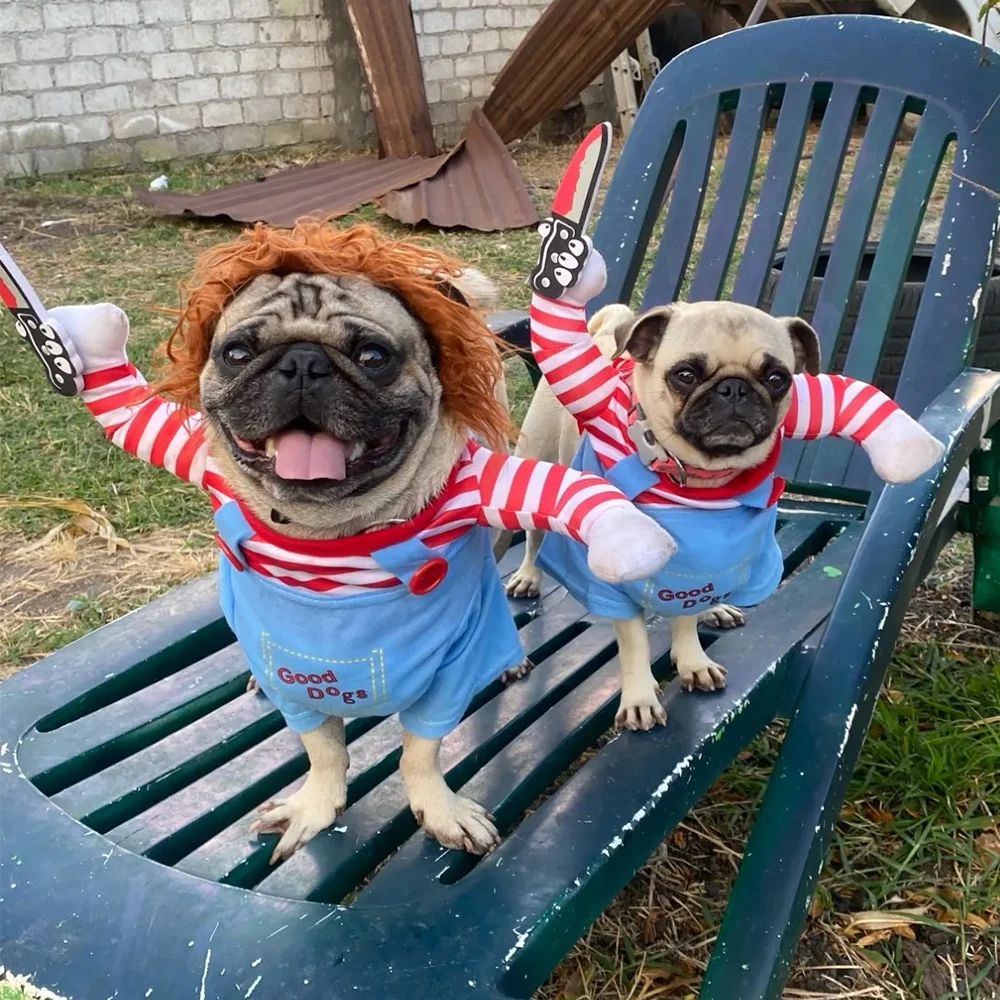 Halloween Dog Costume – Funny Cosplay Outfit for Pets 5