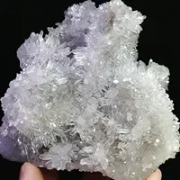 Newly Discovered Transparent Natural White Chrysanthemum Crystal Cluster Quartz Specimen 1