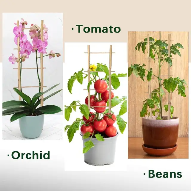 6Db Bambusznövénytámogató Rácsos Négyzet Természetes Mini Bambusz Növény Hegymászó Állvány Létra Csavarral - Image 4