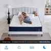 14 Inch King Mattress with Euro Top Hybrid Gel Memory Foam Mattress with 7-Zone Individually Wrapped Coils,King Size Mattress 5
