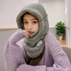 Winter Keep Warm Headgear Hat Female Skiing Face Neck Protection Mask Beanies Cycle Windproof Cold Proof  Skullcap Skullies 2