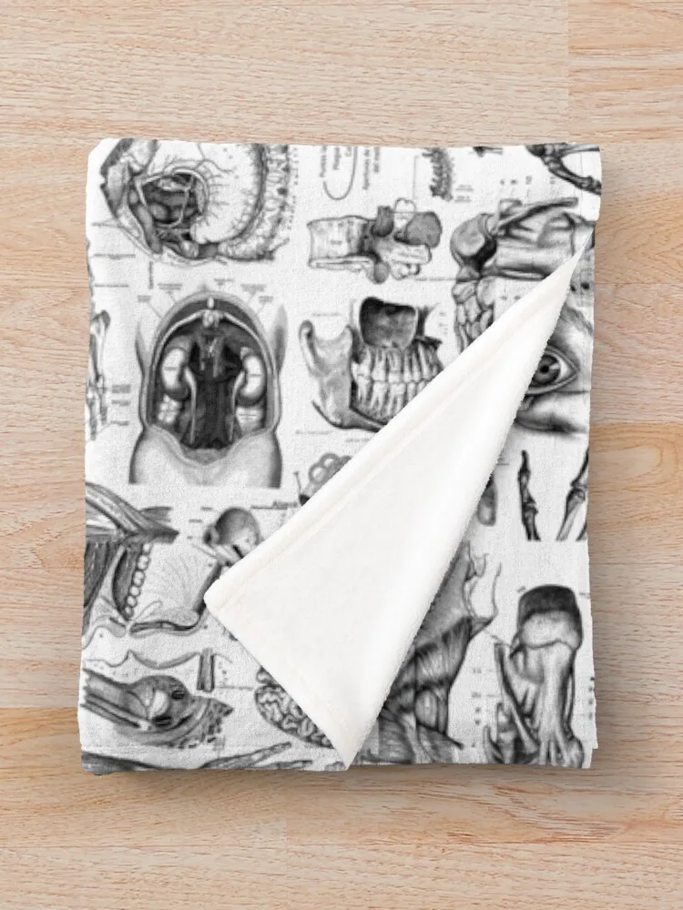 ��ü �غ��� ȭ��Ʈ ����Ʈ ������ ���, ��Ʈ�� ��� ����, �ε巯�� �÷��� ���� ���� ���