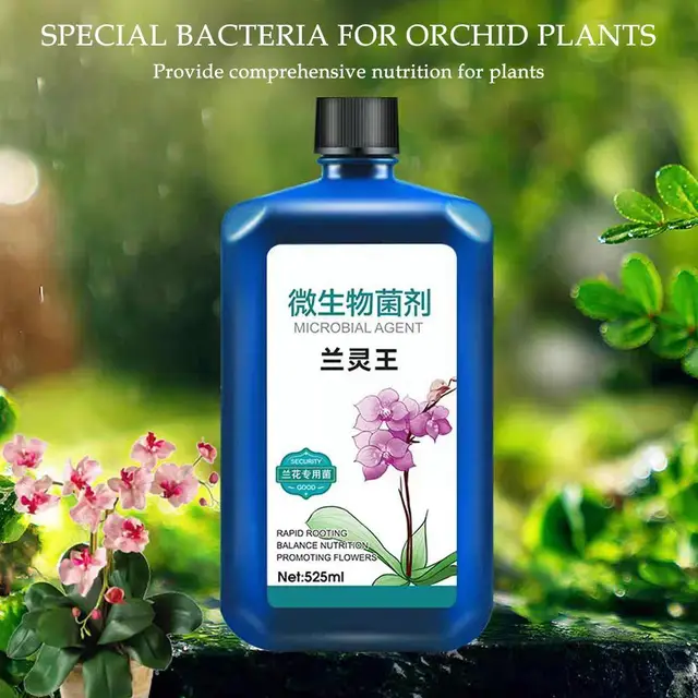 Növényi Tápanyagoldat Orchideák Növekedése Fokozó Kiegészítők Műtrágyák Virágzó Auxin Tápanyag -Folyadék Gyökereződés M8M4 - Image 2
