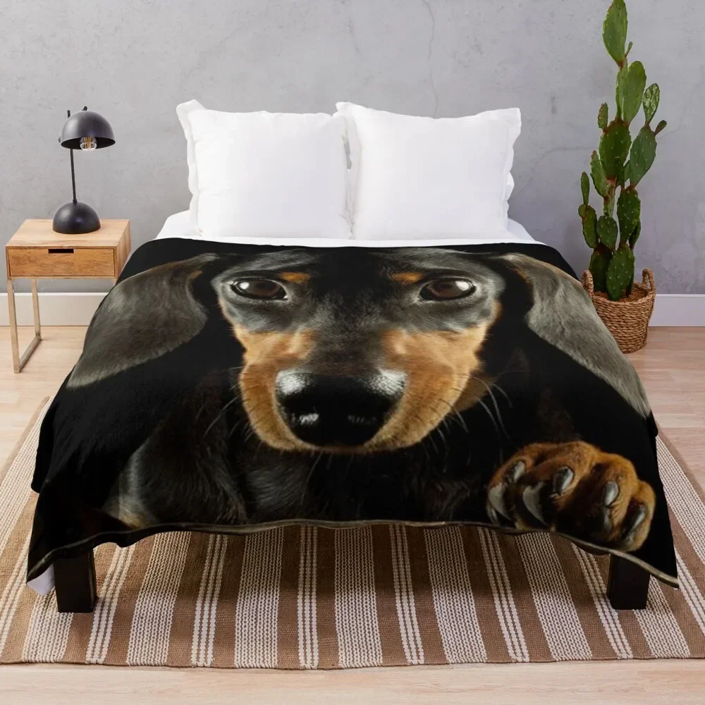 

Dachshund Dog photo portrait Throw Blanket Furry Heavy Blankets For Sofas Blankets