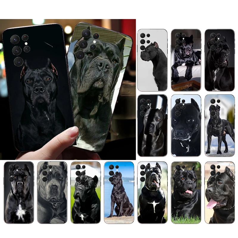 Custodia Per Telefono Cane Cane Cane Cane Per Samsung S23 S22 S21 S20 Ultra S20 S22 S21 S10E S20Fe S10 S9 Plus Shell