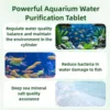 35pc Fish Tank Water Purification Tablet Rapid Chlorine Removal Long Term Durability Powerful Aquarium Water Purification Tablet 3