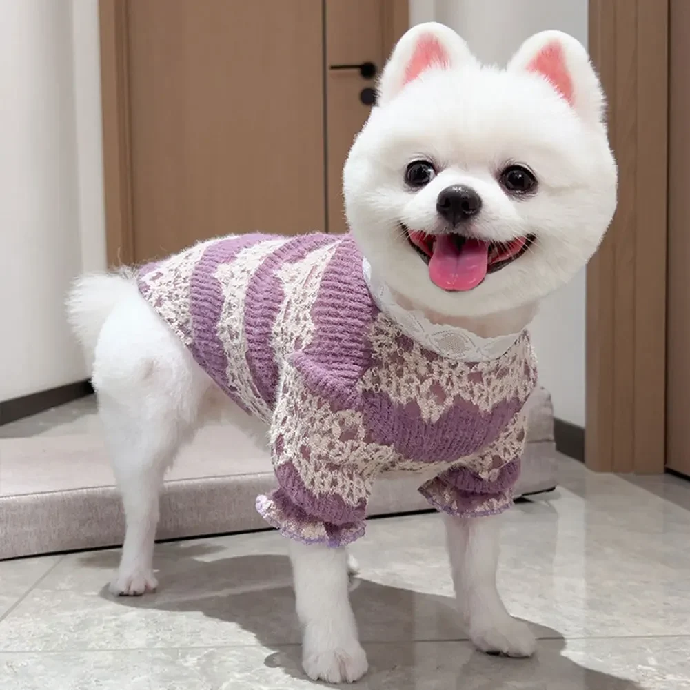 Thicken Soft Winter Warm Dog Sweater Dog Hoodies Lace Sweater Luxury Puppy Pullover Cute Knitted Sweater for Small Medium Dogs