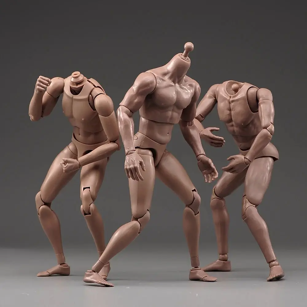 TQ210 TQ220 TQ230 1/6 Male Muscle Joint Body 12'' Soldier