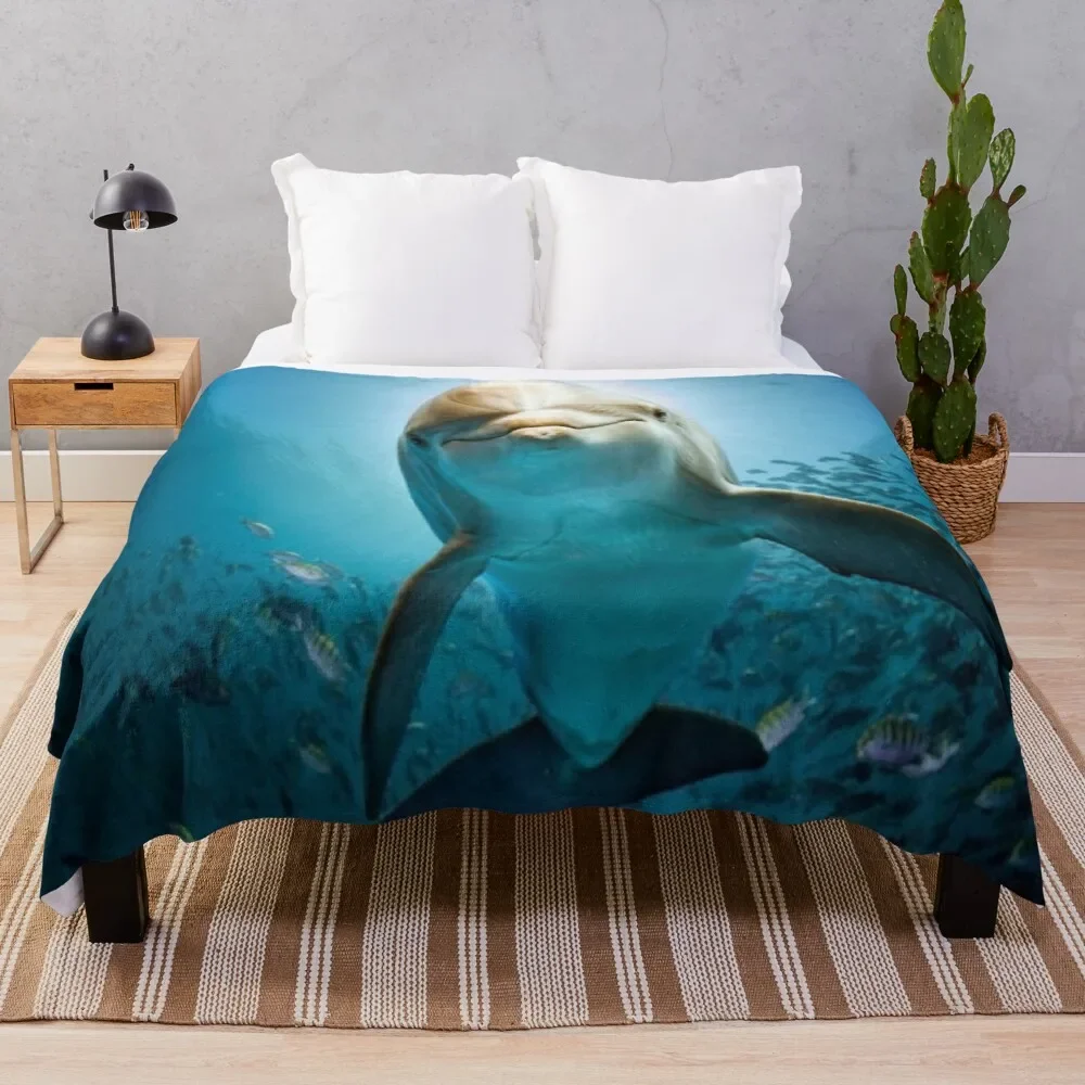 ������ ���� ���� ����Ʈ ������ ���, ħ�� ���� ����, �淮 ���� ķ�� ������ ũ��, ��� ���ο�, �����