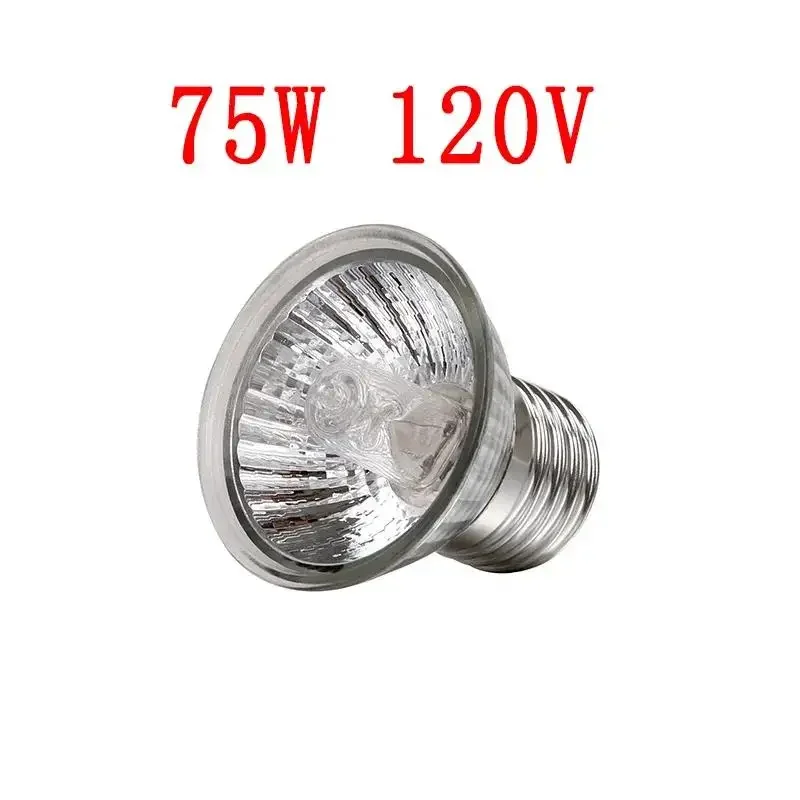 75W 120V