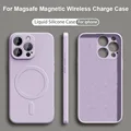Grass Purple