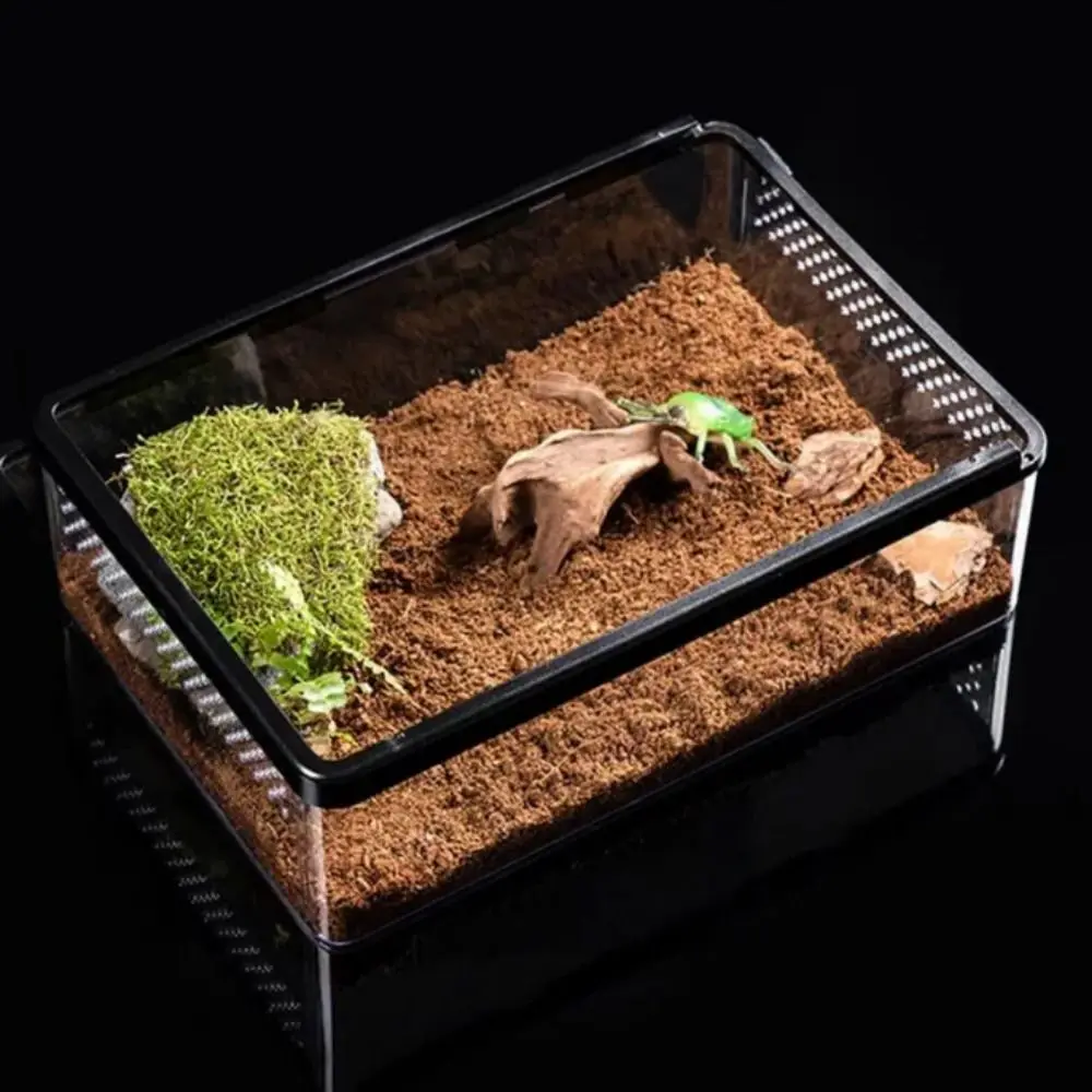 

Transparent Reptile Feeding Box Anti Escape Breathable Spider Breeding Box Metal Plastic Lizard Habitat Terrarium Hamster