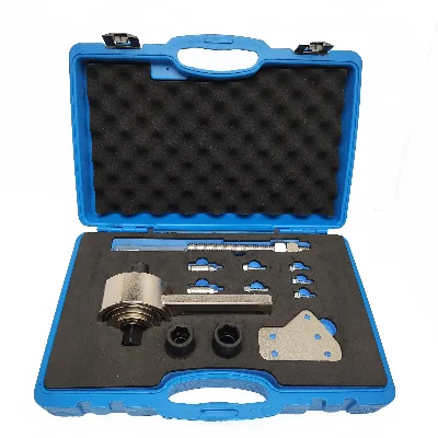 Master Timing Engine Tools Kit for PSA EB0 EB2 Citroen Peugeot DS Cam Wet  Belt