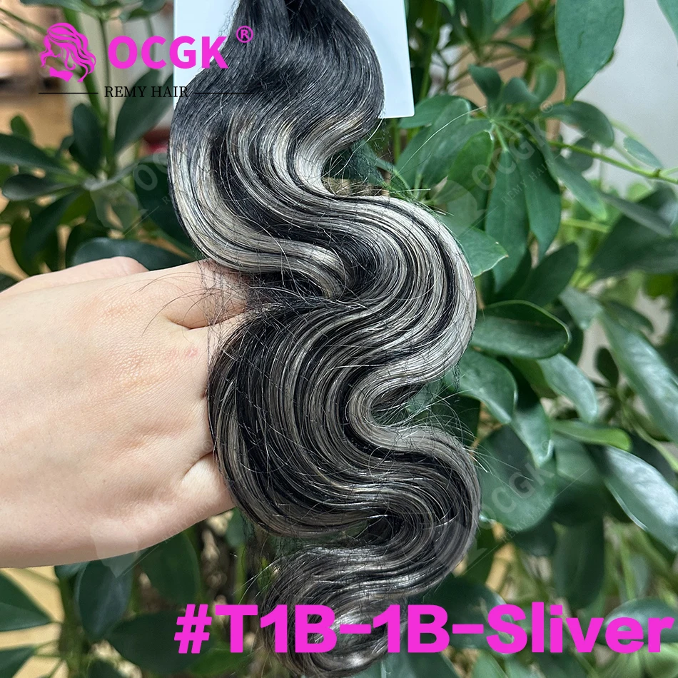 T1B-1B-Silver