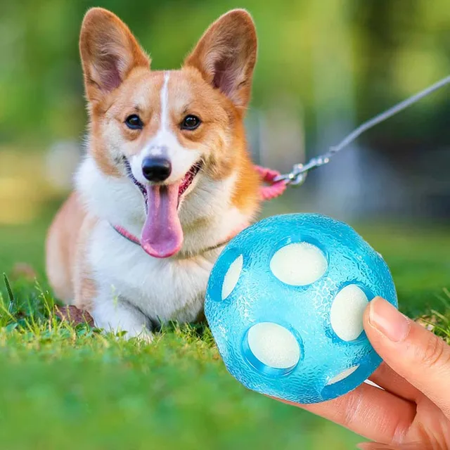 1pc Floating Ocean Ball, Dog Toy Ball Chase Water Play Dog Toy Ball, TPR Interactive Dog Toy Ball Floating Water Ball 4