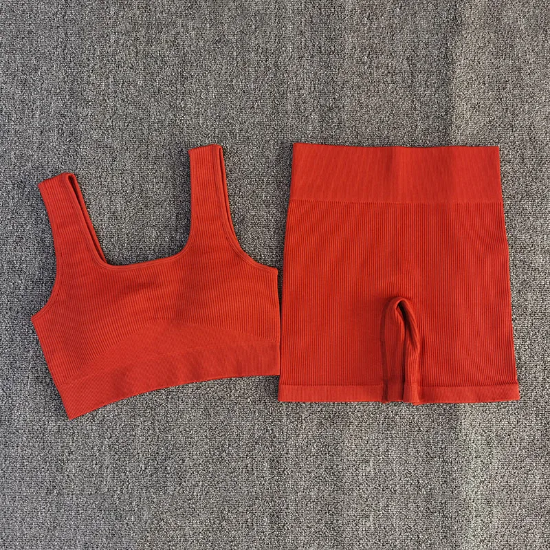 2 PCS Women Yoga Set Sporstwear Seamless Sexy Sport Bra with High Waist Shorts Gym Clothing Fitness Sleeveless Tracksuit