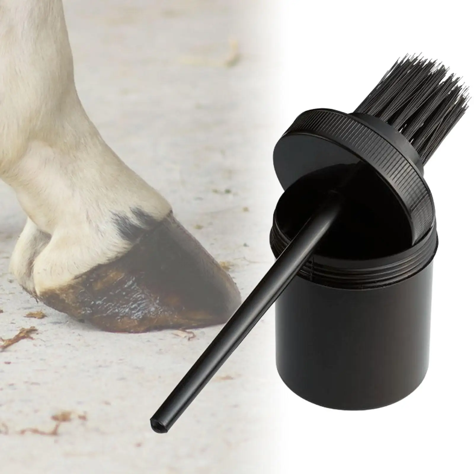 Hoof Grease Brush Sturdy Comfortable Handle Multiuse Equestrian Equipment for Farm Animal Pigs Livestock Horses Care Supplies 3