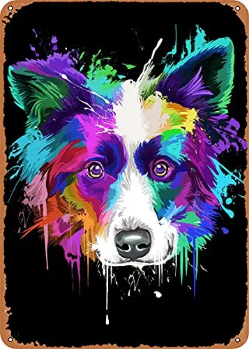

Border Collie Splash Vintage Look Metal Sign Art Prints Retro Gift 8x12 Inch