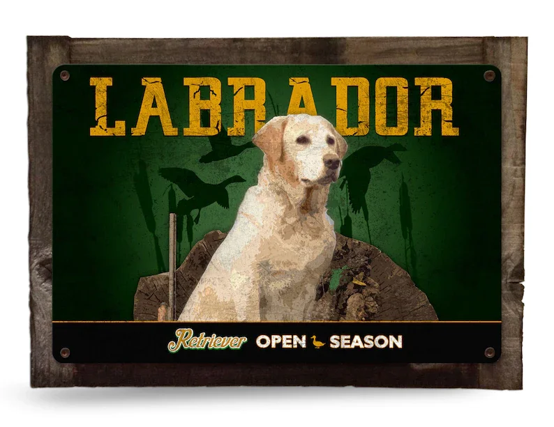 Labrador Retriever, Yellow Lab, Black Lab E Chocolate Lab Metal Sign 16 "X 12"
