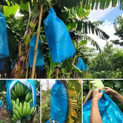 5/10/15 Pcs Banana Protect Bag Fruit Protection Bags With Hole Against Cold Frost Insect Pouch Banana Bunch Protection Cover