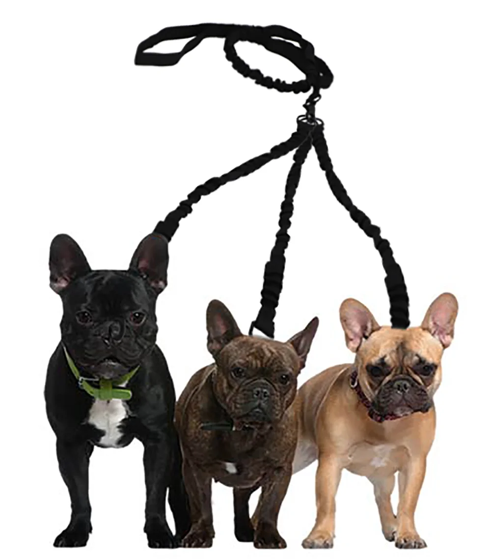 

New Nylon Weave Dogs Coupler Leash Scalable 1 Leash for 2 or 3 Double Dog Walking Lead Bungee Elastic