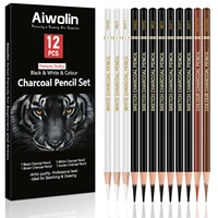 Professional Colored Charcoal Pencils Drawing Set,12 Pieces Pastel Chalk Pencils for Sketching, Shading, Blending, Portrait, Bl 1