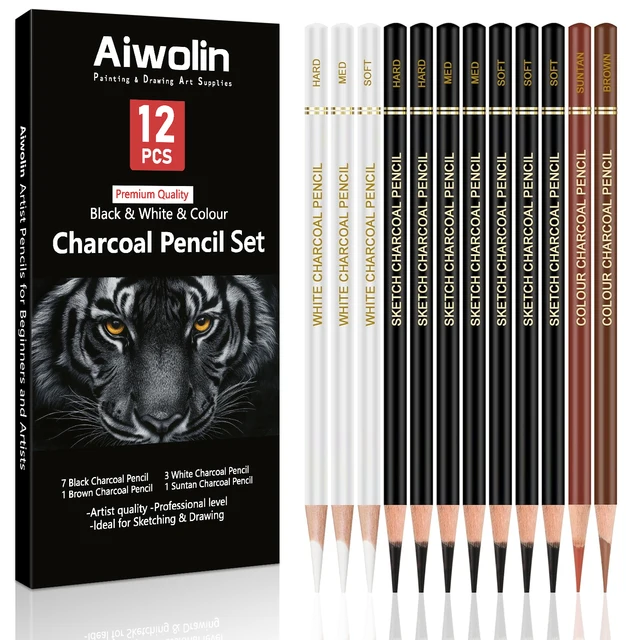 Professional Colored Charcoal Pencils Drawing Set,12 Pieces Pastel Chalk Pencils for Sketching, Shading, Blending, Portrait, Bl 1