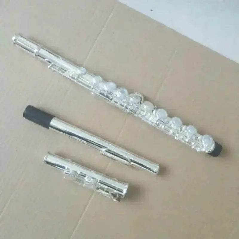 Silver Plated C Tone E Key 16 Open Hole Flute with Case-Excellent Quality Music Instrument