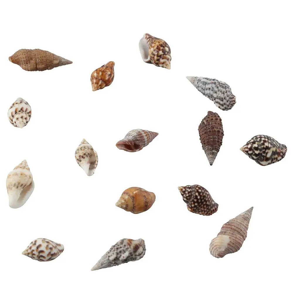 Natural Shell Ornaments 1500 PCS Mini Sea Shells Mixed Ocean Small Beach Spiral Seashells Craft Charms Seashells Decorations for DIY Crafts Fish Tank