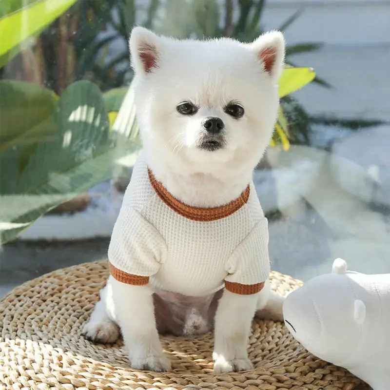 강아지 코스튬 반려동물 의류 조끼 티셔츠, 패션 반려동물 의류, 치와와 강아지 복장, 강아지 고양이용 곰 패턴