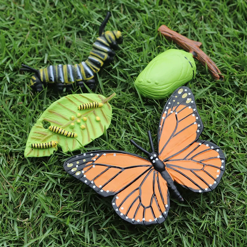 

Children's Cognitive Educational Toys Simulation Animal Insect Model Mini Small Animal Butterfly Growth Cycle Montessori Toys