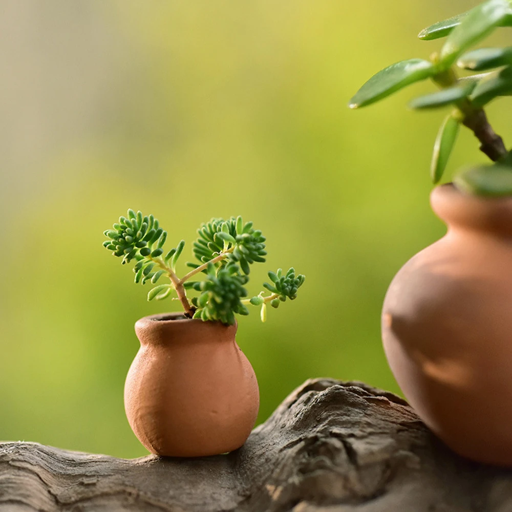 Pots Flower Mini Planter Clay Succulent Pot Ceramic Flowerpot Terracotta Cotta Terra Tiny Nursery Decorative Pottery Miniature